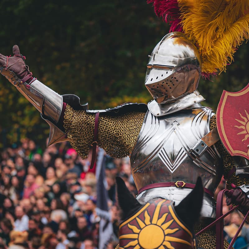 Cover Image for ⚔️ Renaissance Festival – Celtic Weekend! ⚔️