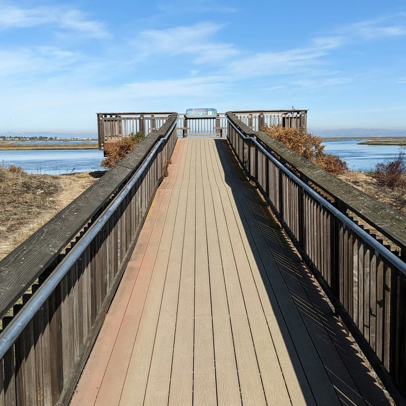 Cover Image for Trail Walk at Bair Island (Peninsula)