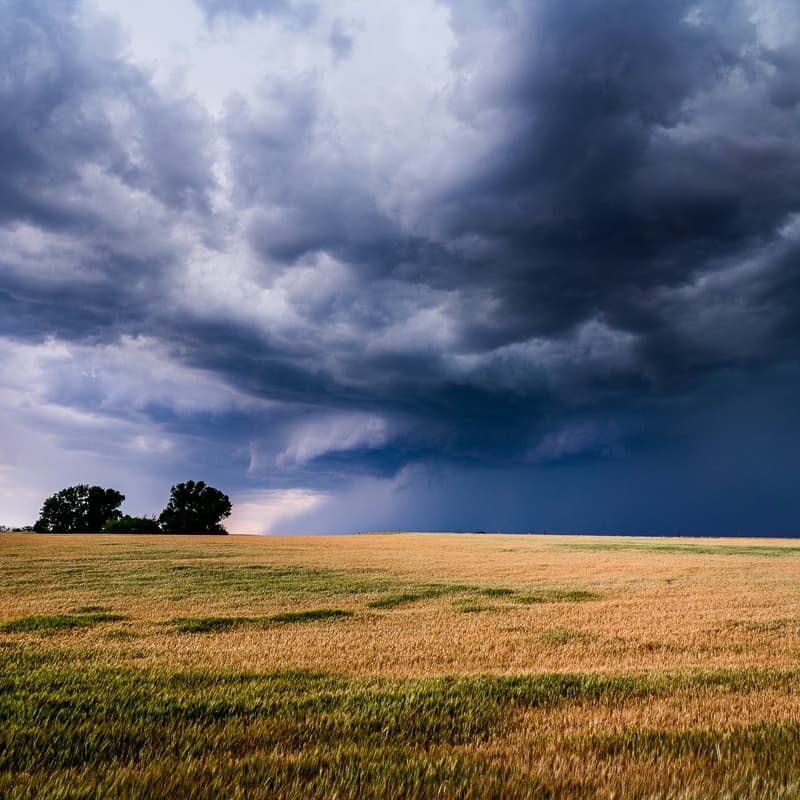 Cover Image for AI for Weather Forecasting: Helping Farmers Prepare for Extreme Weather