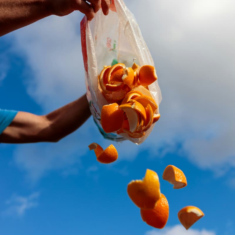 Cover Image for Feeding People, Not Landfills: Policy Solutions that tackle Food Waste and Food Insecurity