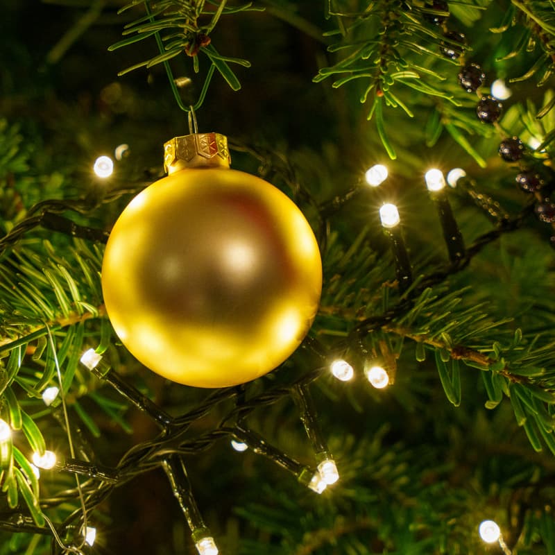 Cover Image for Tree Decoration Party [members and +1s]