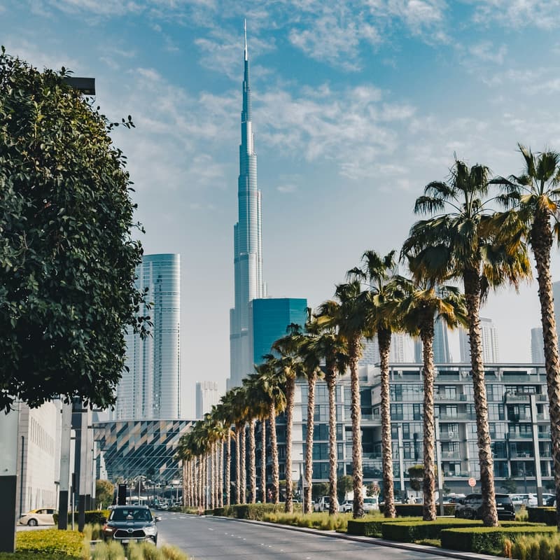 Cover Image for Комьюнити C-Growth в Эмиратах 🇦🇪