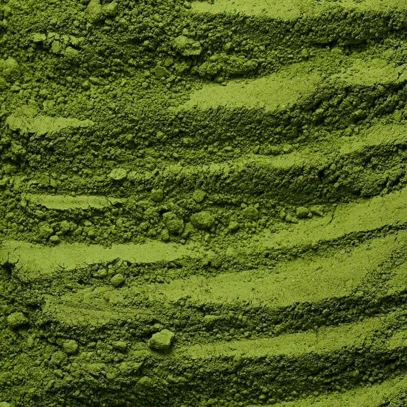 Cover Image for clay & matcha 101