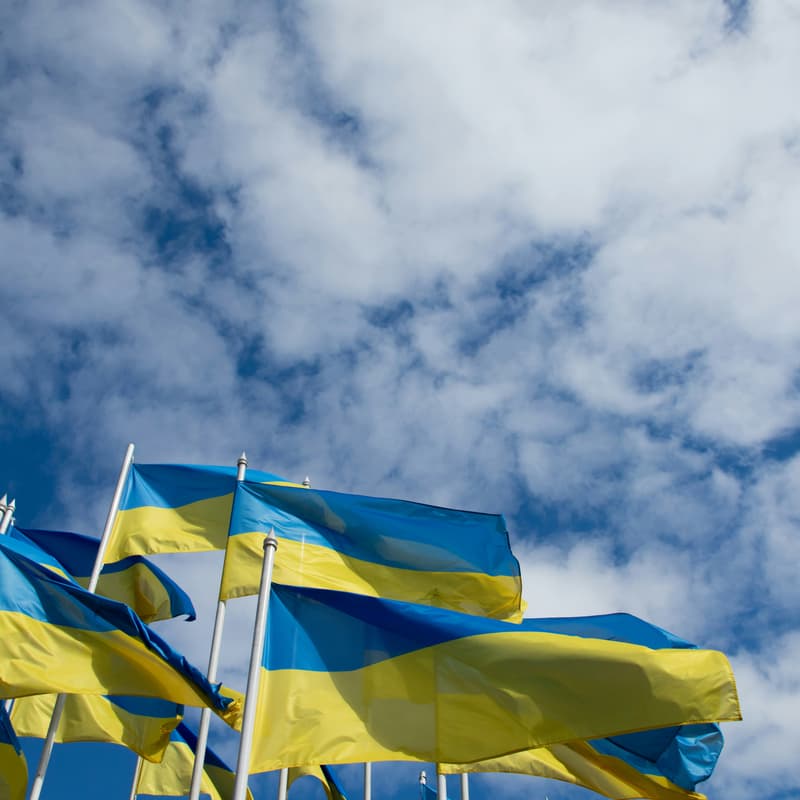 Cover Image for Meet 41 entrepreneurs from Ukraine