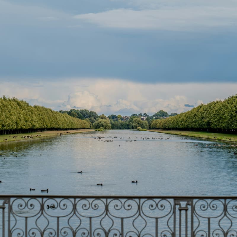 Cover Image for Hampton Court Palace trip