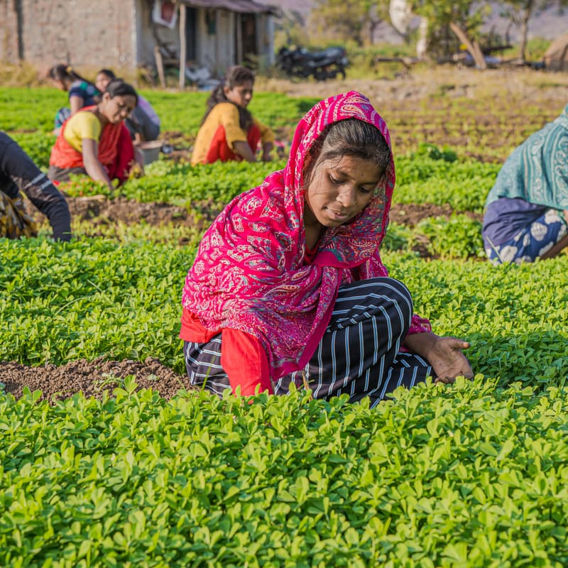 Cover Image for Women Farmers for Earth: Workshop