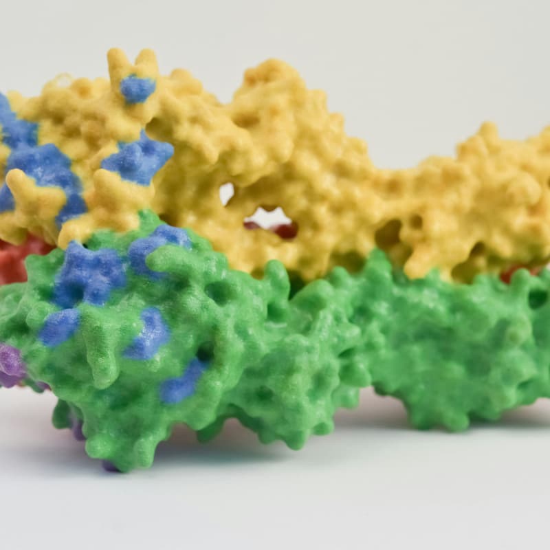 Cover Image for AlphaFold and Protein Structure Visualization Workshop with Roland Dunbrack