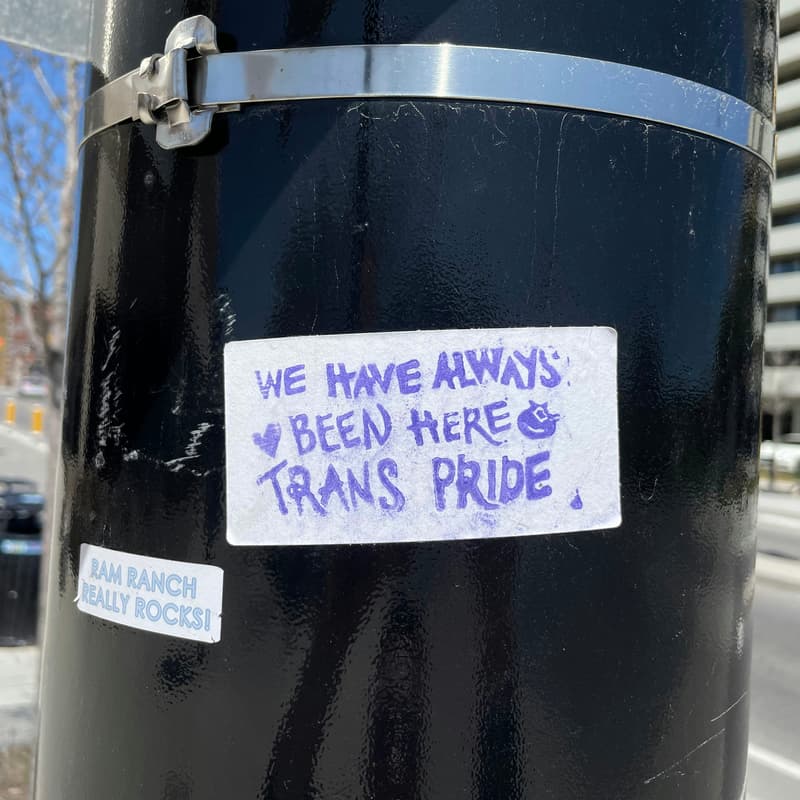 Cover Image for Reading Trancestors: A Trans History Book Club (hybrid)