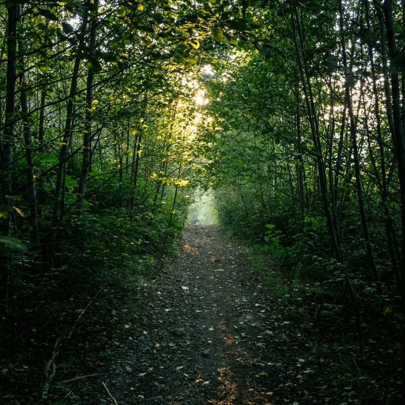 Cover Image for A-Players Walk with Seed - Series B Founders