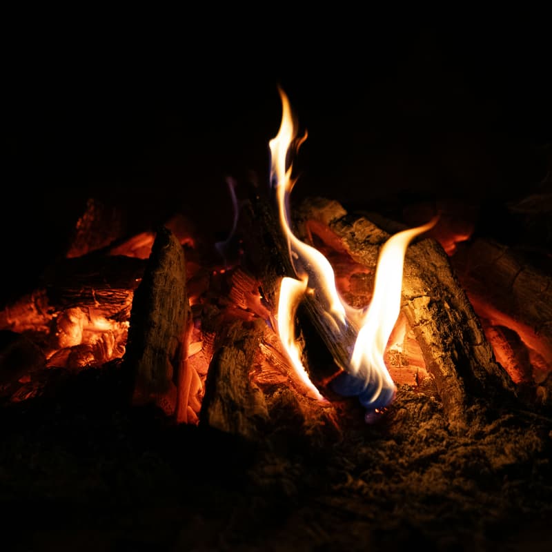 Cover Image for 🔥 Ignite Your Vision 2026: A New Year Hypnosis & Fire Ritual Activation