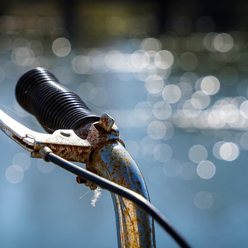 Cover Image for Pop-Up-Radwerkstatt zu Gast bei der Raupe Immersatt