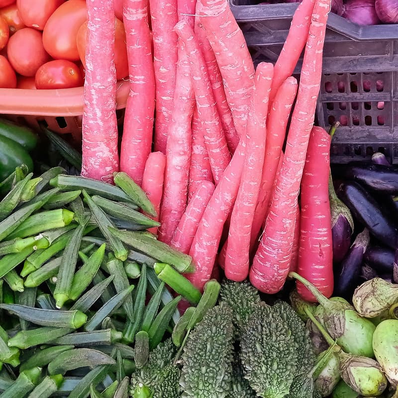 Cover Image for Visite d'une coopérative d'achat : bio, local, sans intermédiaire ! Fraîcheur garantie