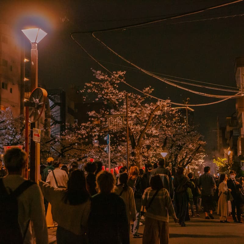 Cover Image for AI Builders & Founders Hanami — What Are You Building? 🌸