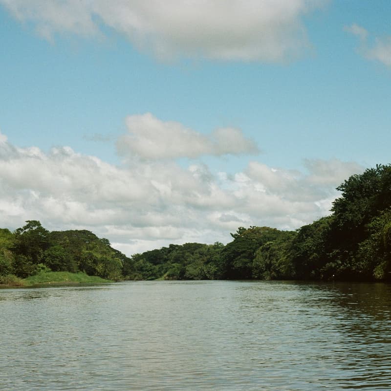 Cover Image for Kérdezz-felelek az otthoncseréről a Tisza mellett.