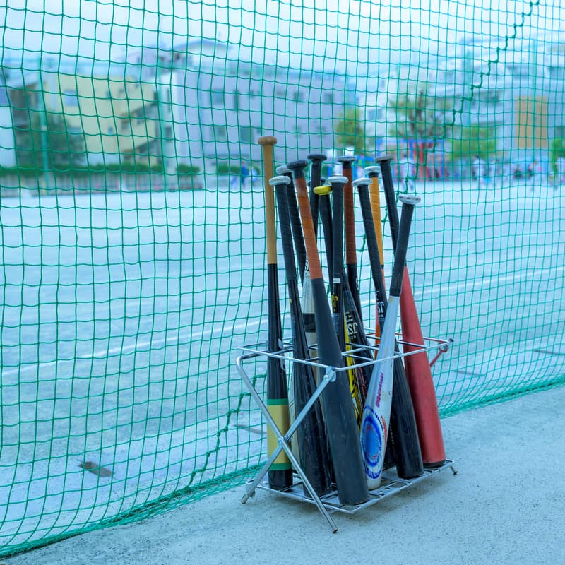 Cover Image for Batting Cage Practice