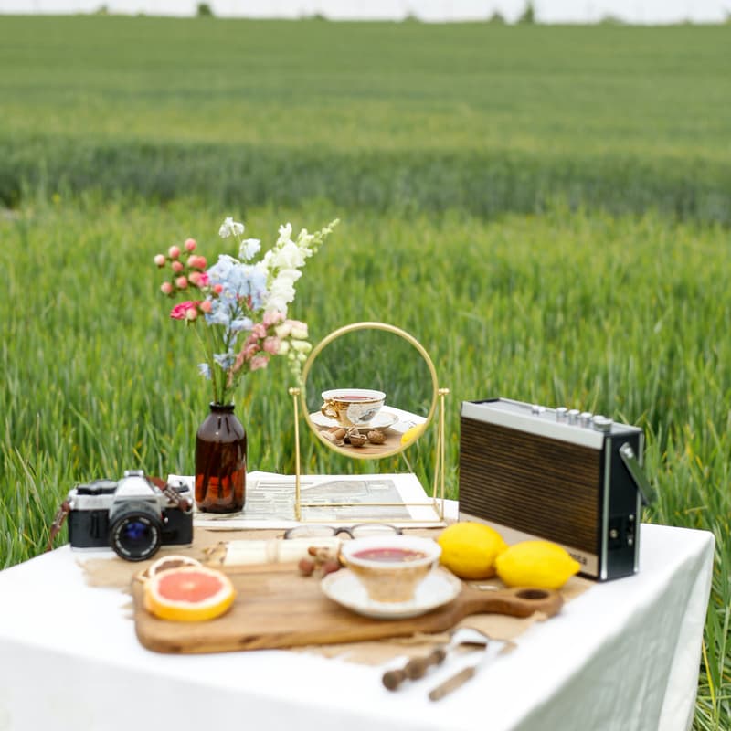 Cover Image for Perfume Picnic
