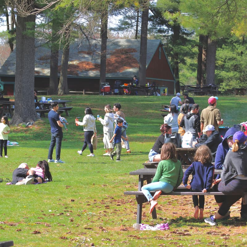 Cover Image for May Idealist Day CT