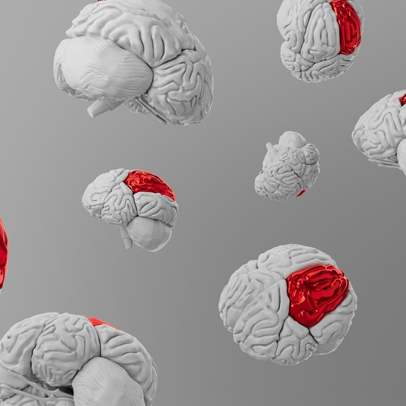 Cover Image for Cognitive Infrastructure for Agentic Economies