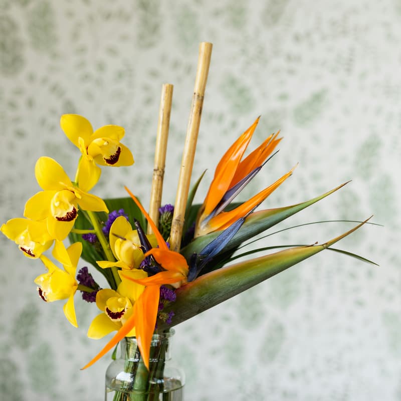 Cover Image for Flora and Form