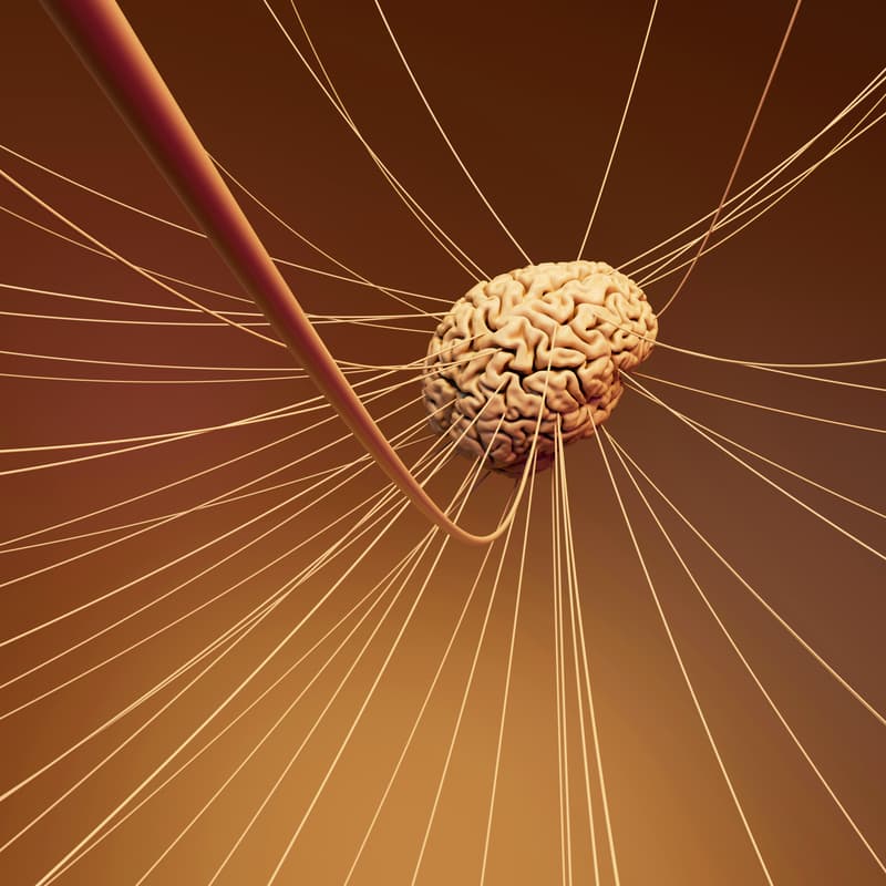 Cover Image for Neuroscience x AI Happy Hour
