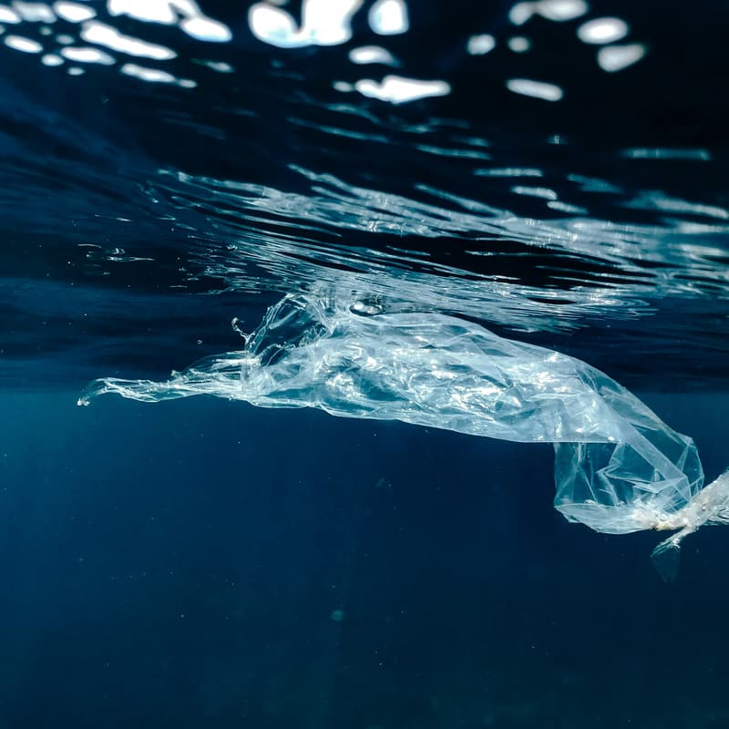 Cover Image for Turning Wastewater into Climate Solutions