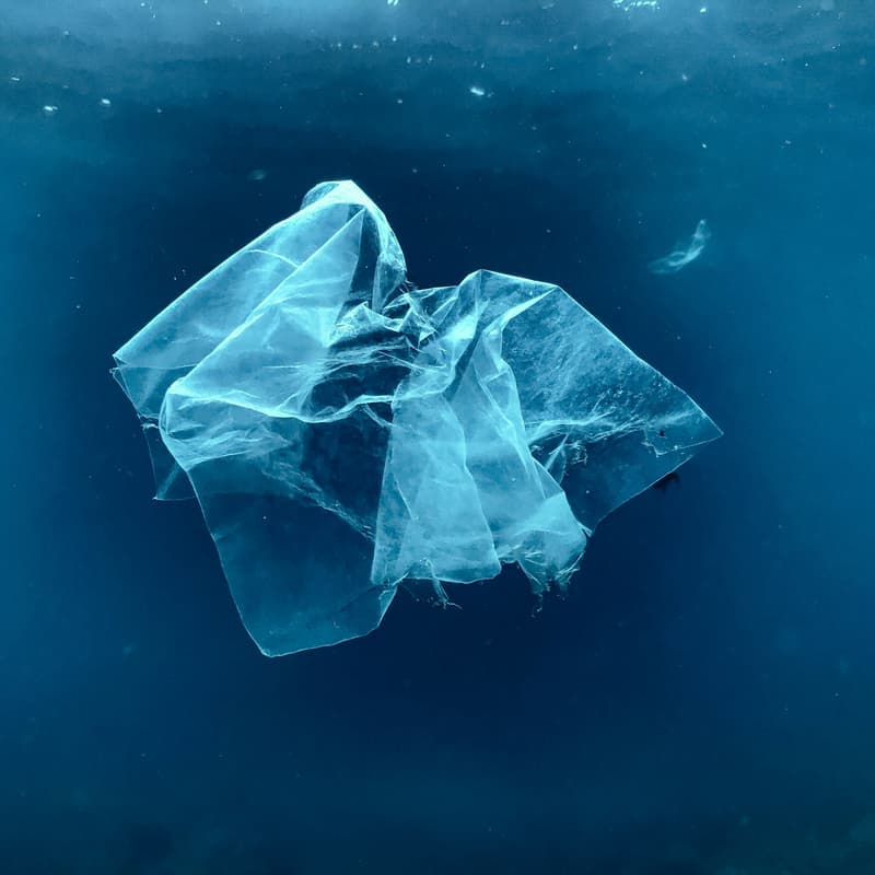 Cover Image for 3rd Sustainability Leaders Connect