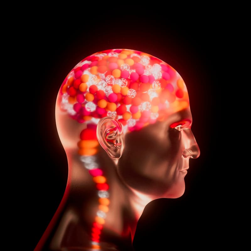 Cover Image for Ageing Gracefully: Understanding the Science Behind Longevity