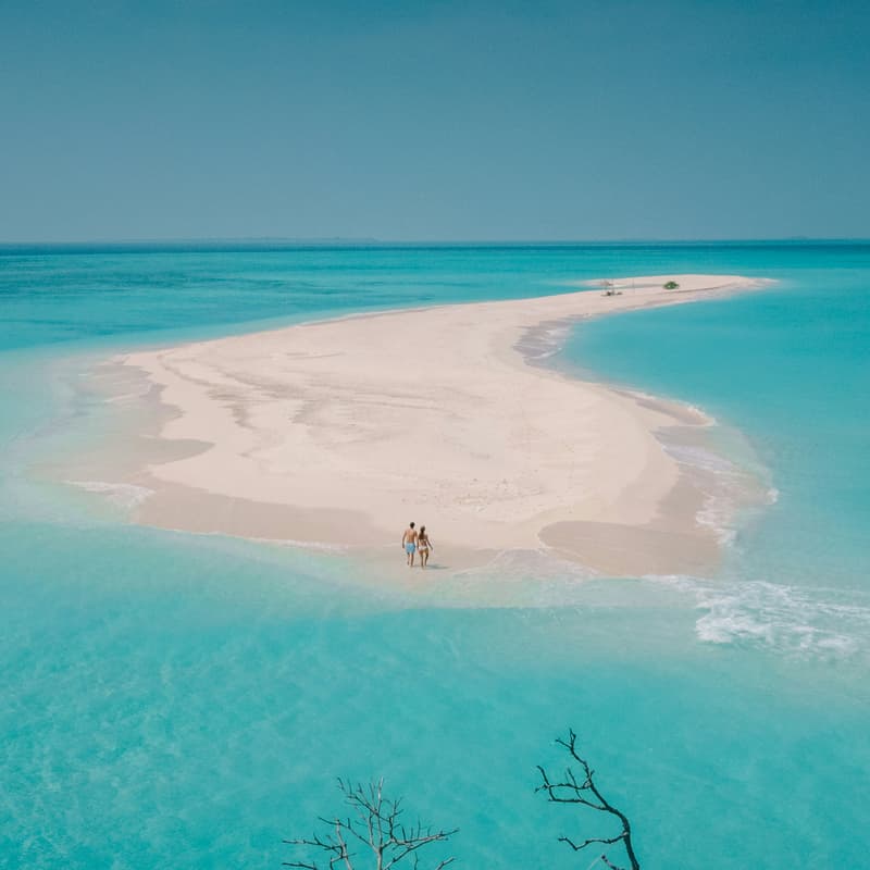 Cover Image for LOVE AS A NOMAD