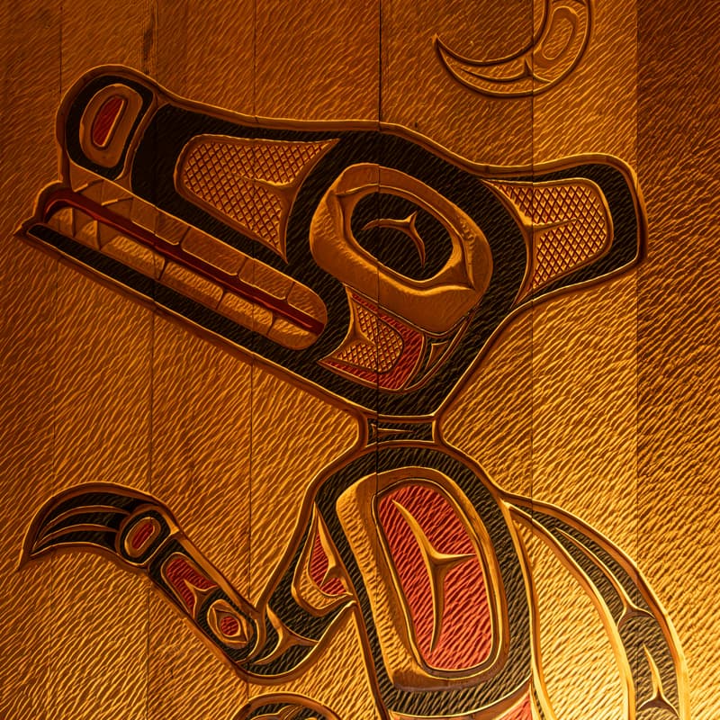 Cover Image for Amplifying Indigenous-led Solutions to Global Challenges