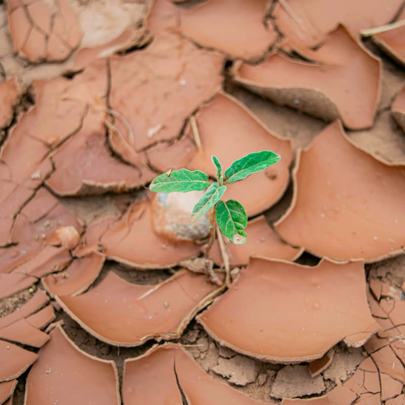 Cover Image for Insurable vs. uninsurable: understanding climate risk pricing - LIVE Interactive Workshop #13/32