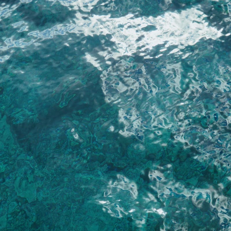 Cover Image for 🌊 Pier Connections: Networking for Water Professionals at Navy Pier
