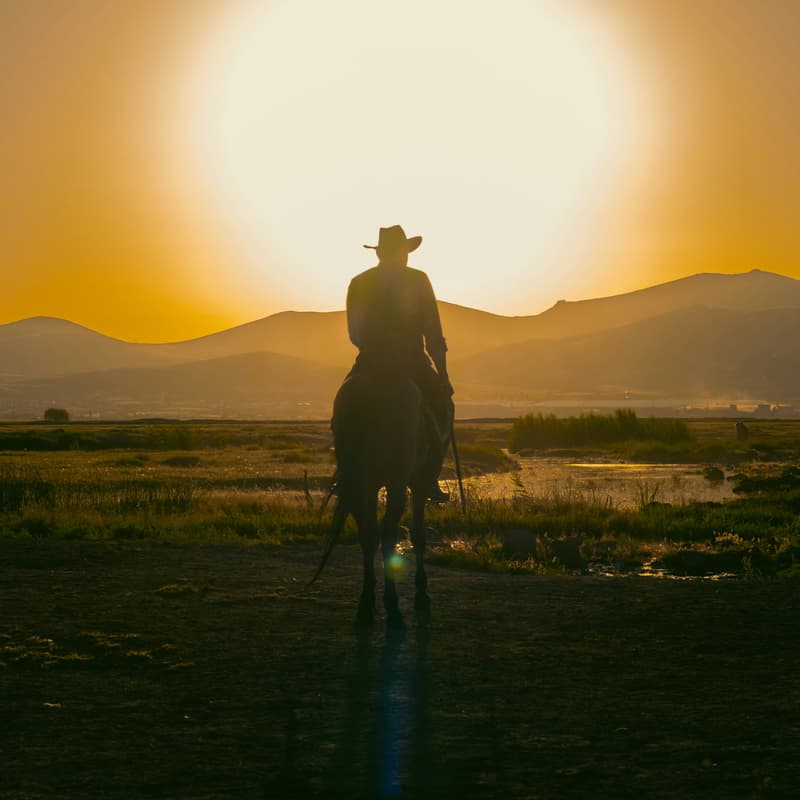 Cover Image for Nonprofit Datafolk Club: AI - The good, the bad and the ugly