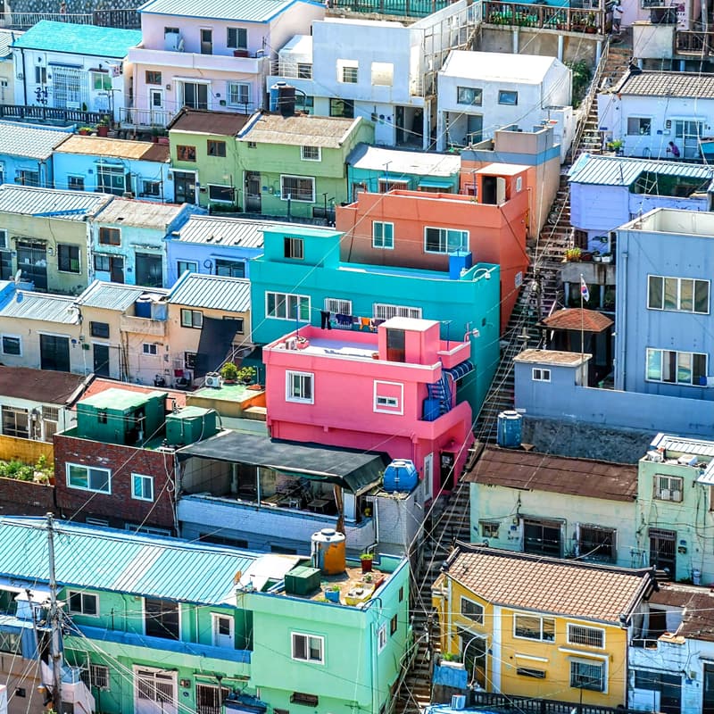 Cover Image for OASIS 5 BUSAN