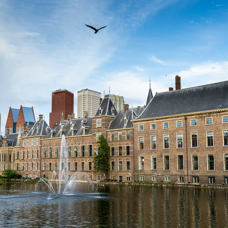 Cover Image for Commissiedebat Tweede Kamer: Dieren in de veehouderij