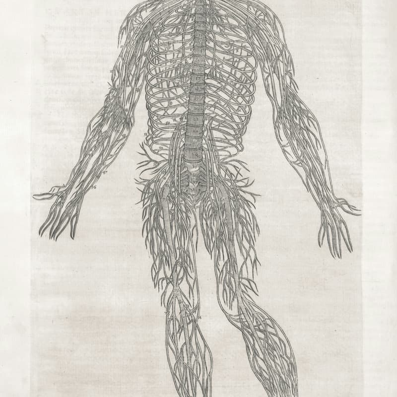 Cover Image for Neural Recharge