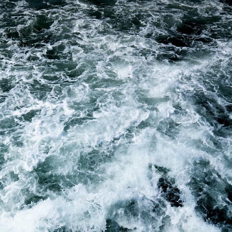 Cover Image for Marine Energy Justice Panel: Conversation with Michelle Early Capistrán, Xavier Basurto, and Nicole Franz