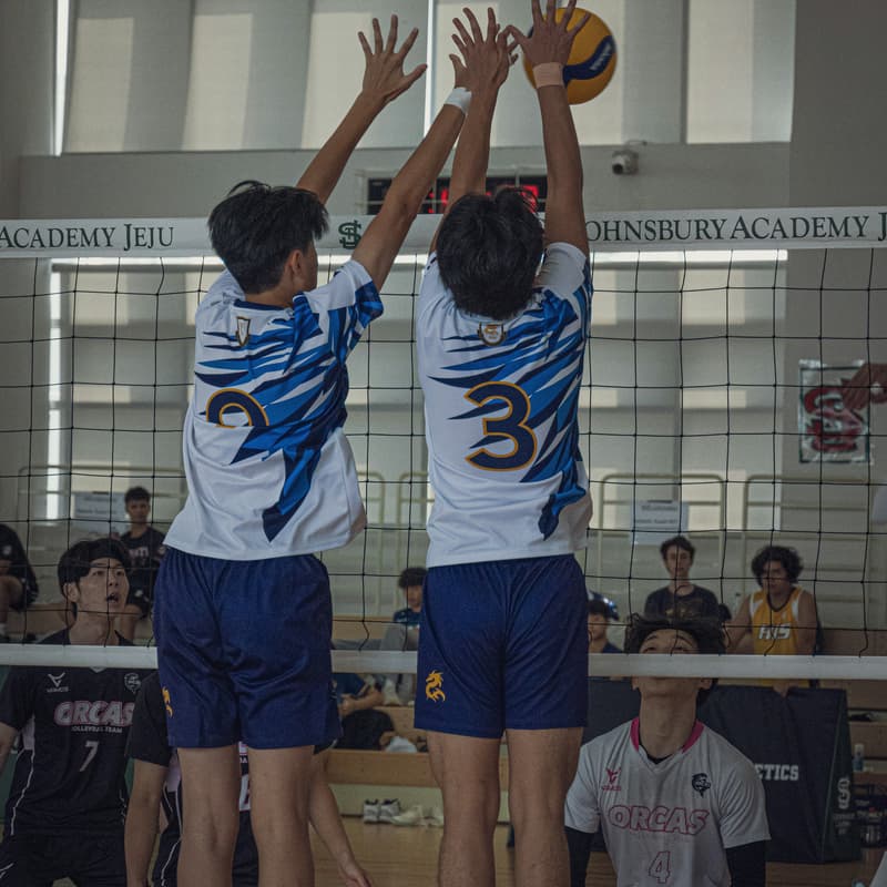 Cover Image for Social Volleyball (Beginners+)