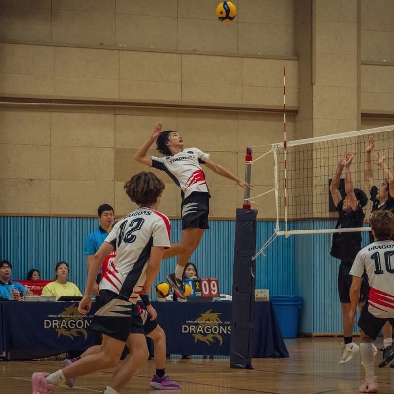 Cover Image for Ranked Social Volleyball (Intermediates+)