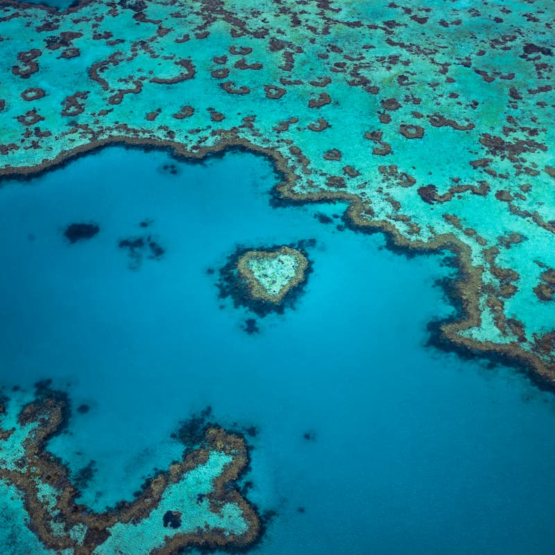 Cover Image for Heart Connection Circle