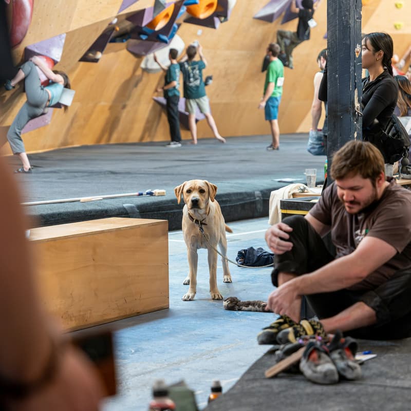 Cover Image for Climbing at Grimper.ch
