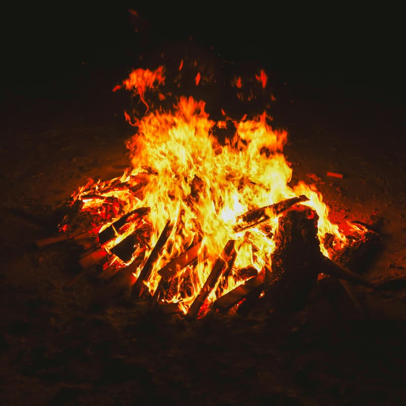 Cover Image for Pile Burning Union Valley