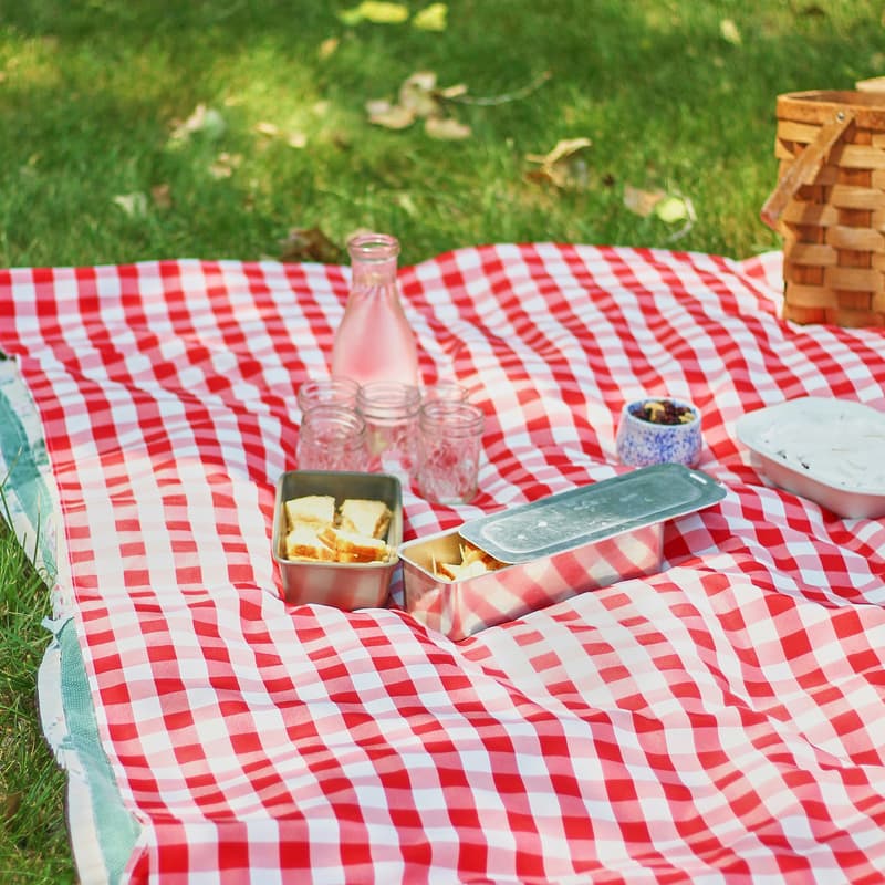Cover Image for The SF Contemplarium Turns Two! 🧺 2nd Anniversary Picnic