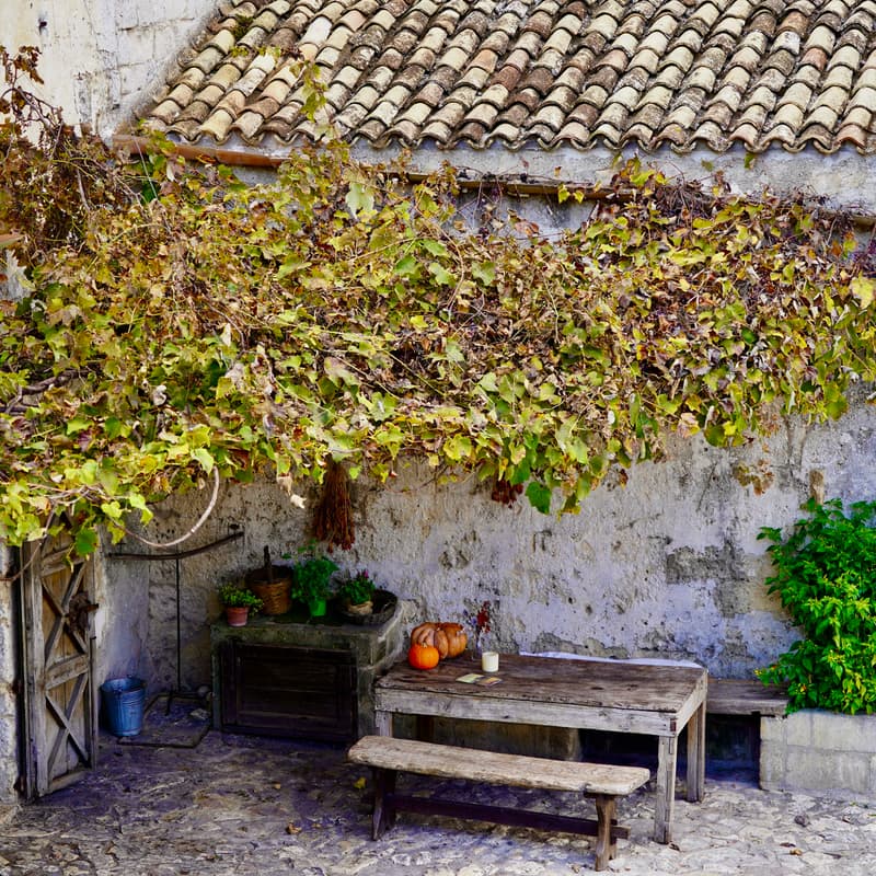 Cover Image for Bienvenue chez moi