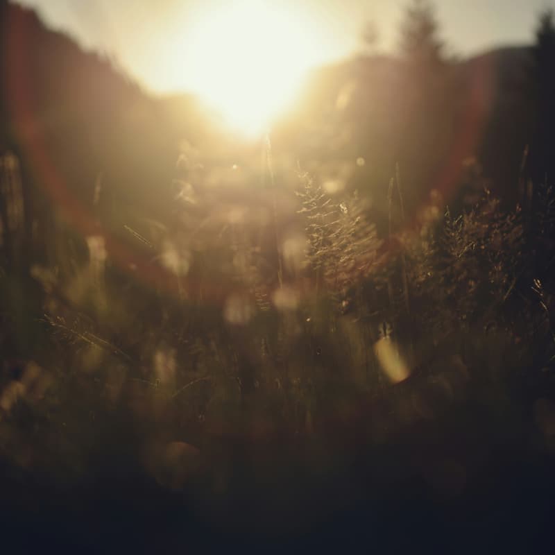 Cover Image for Understanding Aliveness at Individual Level