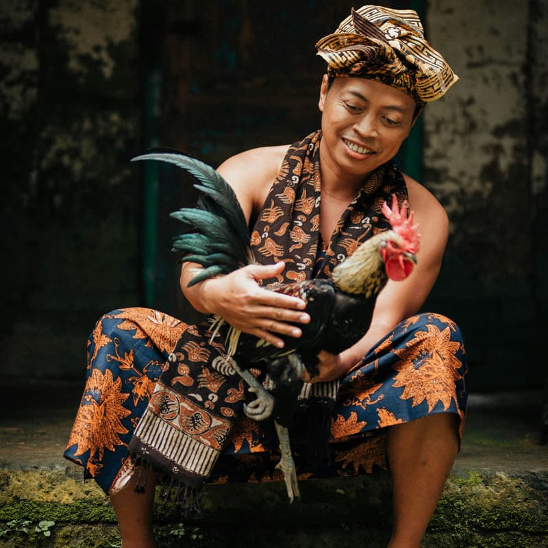 Cover Image for Anthropology of Money