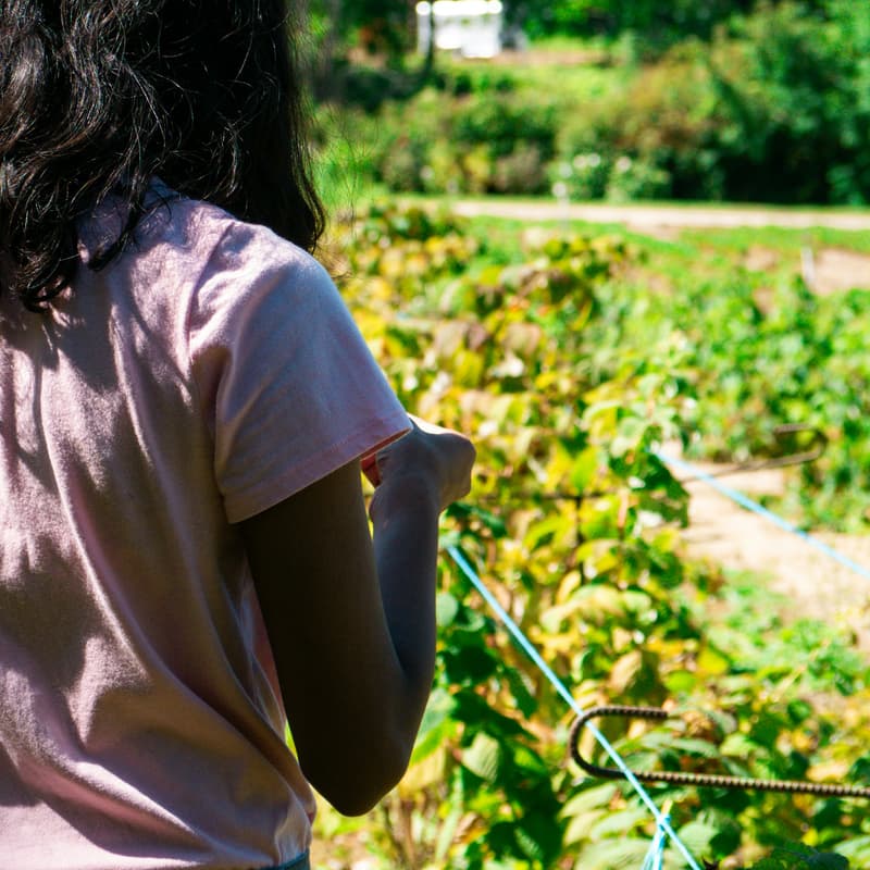Cover Image for Community Volunteer Day with DC Greens