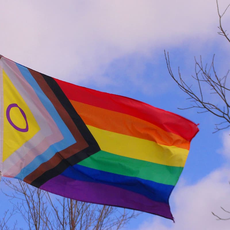 Cover Image for Billion Oyster Project Pride Kickoff!