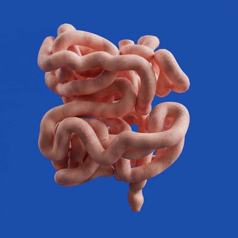 Cover Image for CME: Review of Common Acute Biliary Pathologies & Advanced Endoscopic Interventions
