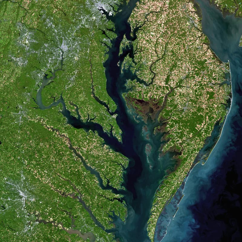 Cover Image for The State of Water Quality in the Chesapeake Bay
