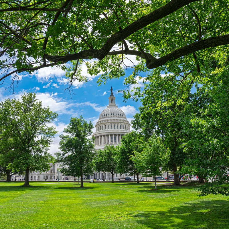 Cover Image for DC Meetup